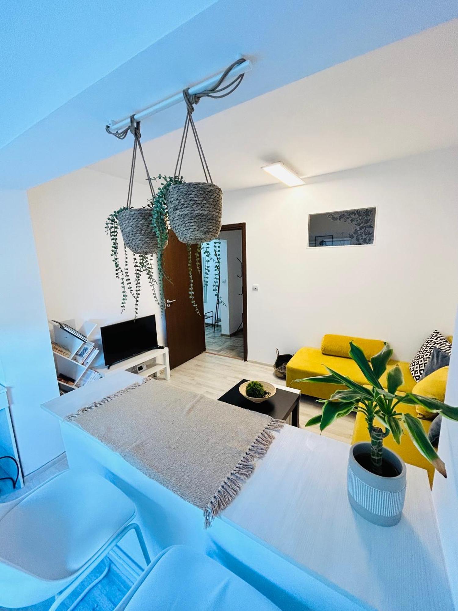 Alisz Apartments Тимишоара Экстерьер фото