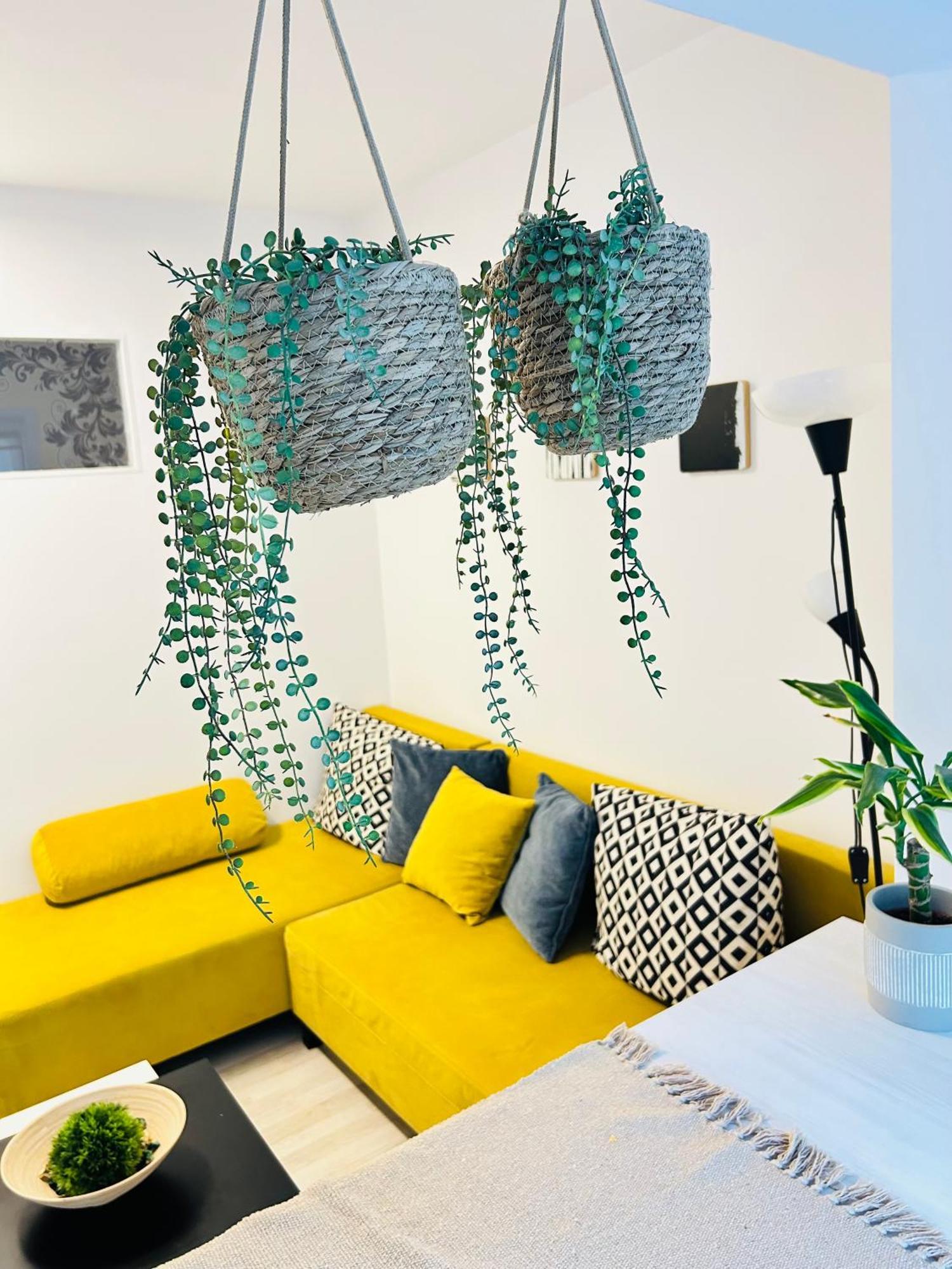 Alisz Apartments Тимишоара Экстерьер фото