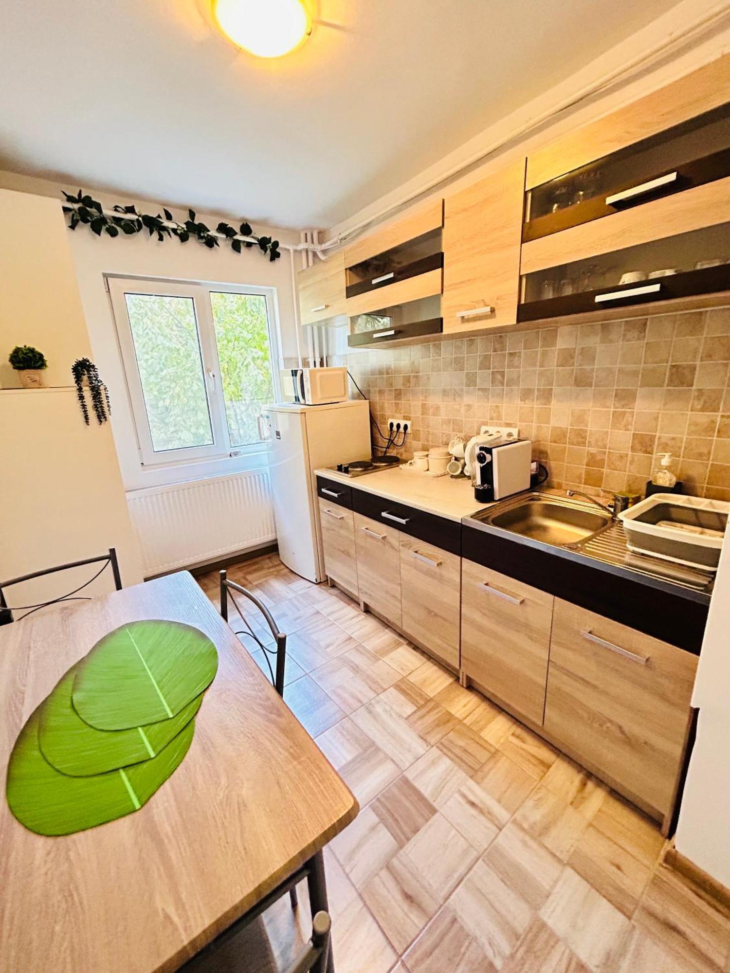 Alisz Apartments Тимишоара Экстерьер фото