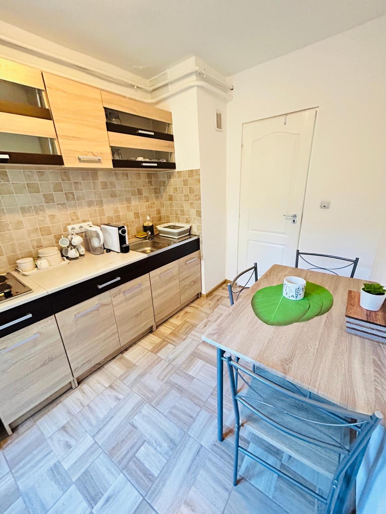 Alisz Apartments Тимишоара Экстерьер фото